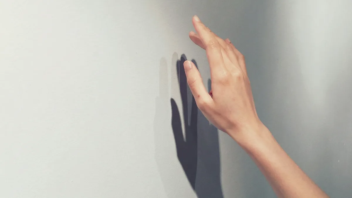 Falszárító Vakolat